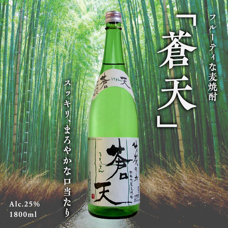 焼酎(麦焼酎)人気ランク2位　口コミ数「23件」評価「4.91」「【ふるさと納税】佐嘉酒造　肥前竹炭麦焼酎　蒼天：A090-003」