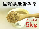 【ふるさと納税】佐賀県産 麦みそ5kg：B023-022