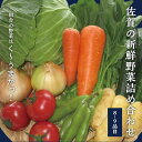 【ふるさと納税】新鮮・季節の野菜詰め合わせ：B120-006