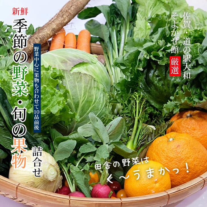 【ふるさと納税】旬の野菜と果物セット:B165-002