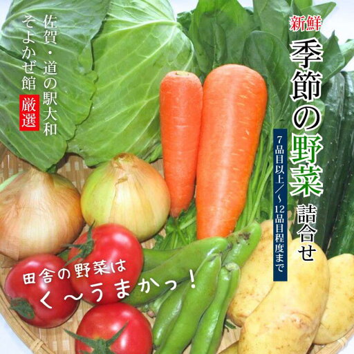 【ふるさと納税】新鮮・季節の野菜詰め合わせ:B120-006 【ふるさと納税】新鮮・季節の野菜詰め合わせ:B120-006