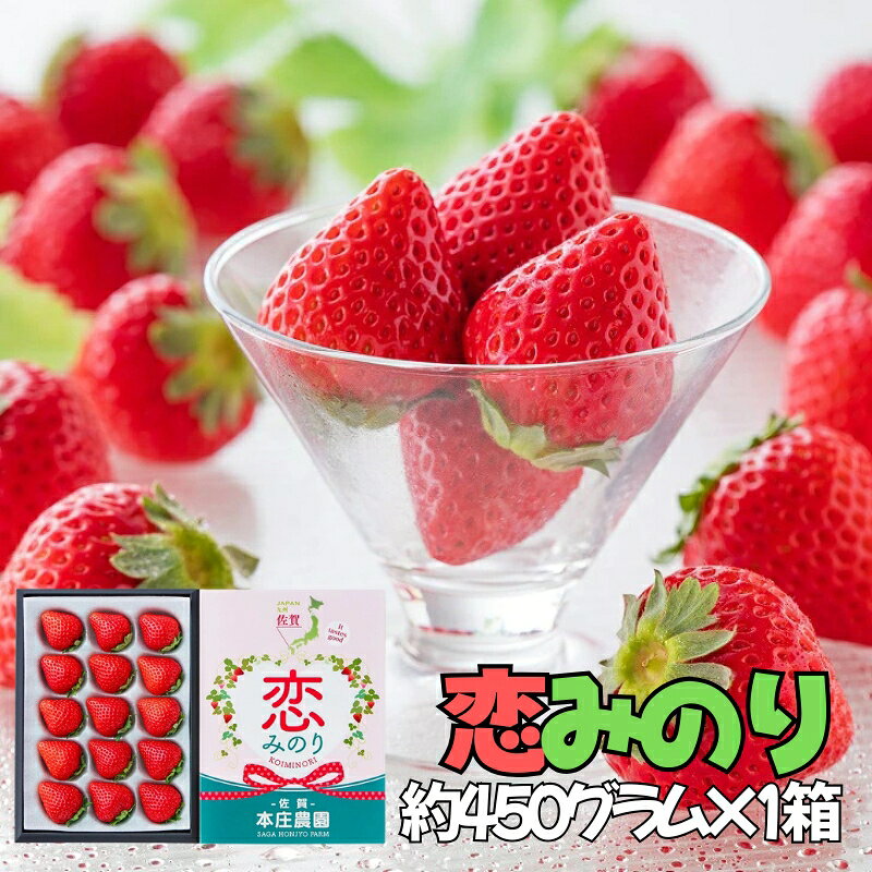 【ふるさと納税】【贈答品】 特別栽培 イチゴ 恋みのり 化粧箱 （450g）選べる1箱・2箱 12月下旬～4月発送 苺 いちご フルーツ 果物 贈答 ギフト プレゼント 佐賀県 佐賀市：B145-030 f412015-saga-10003499 佐賀県佐賀市 サンプル画像2