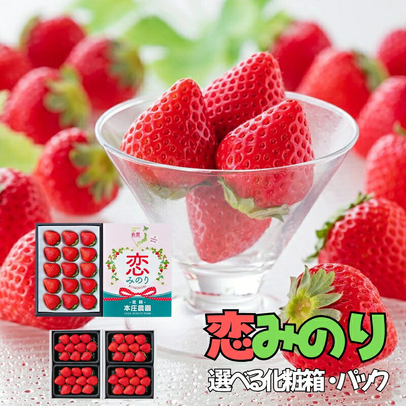 【ふるさと納税】【贈答品】 特別栽培 イチゴ 恋みのり 化粧箱 （450g）選べる1箱・2箱 12月下旬～4月発送 苺 いちご フルーツ 果物 贈答 ギフト プレゼント 佐賀県 佐賀市：B145-030 f412015-saga-10003499 佐賀県佐賀市 パッケージ画像