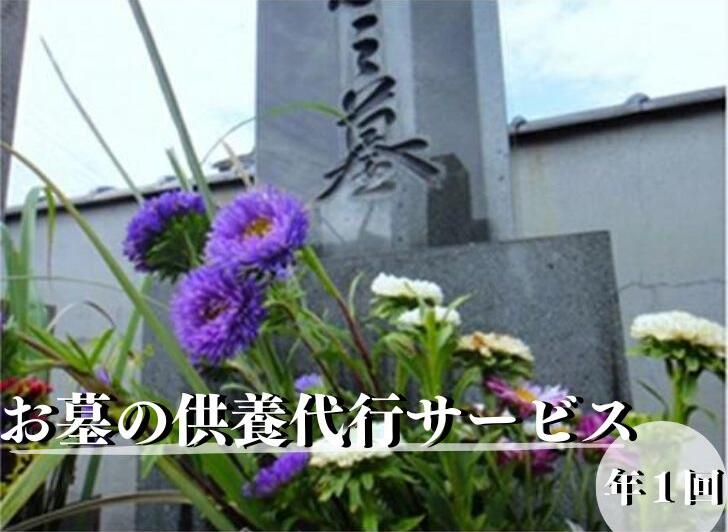 佐賀市シルバー人材センターでは、毎年数十件のご先祖の供養代行をさせていただいております。 お盆やお彼岸、年末の時期に年1回、生花のお供え物と共にご供養致します。 作業前と後の写真をお送りいたします。 ※入金確認後、1年以内のご利用とさせて頂きます。 【地場産品基準のうち該当する類型：告示第5条第7号】 上記類型に該当する理由　市内限定で提供される役務 商品説明内容量 あなたに代わり、ご先祖の供養代行を真心をもってさせていただきます。※時期についてはご希望を伺います。 受付期間通年発送時期 入金確認後、1カ月程度で発送入金確認後、1年以内のご利用とさせて頂きます 提供元(公社)シルバー人材センター ・ふるさと納税よくある質問はこちら ・寄附申込みのキャンセル、返礼品の変更・返品はできません。寄附者の都合で返礼品が届けられなかった場合、返礼品等の再送はいたしません。あらかじめご了承ください。 ・配達日のご指定はいただけませんので、あらかじめご了承ください。【ふるさと納税】お墓の供養代行サービス：B011-081