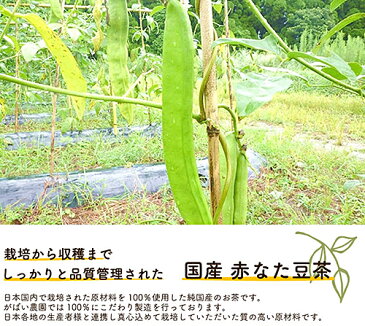 【ふるさと納税】A−091.国産 赤なた豆茶