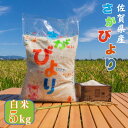 【ふるさと納税】【数量限定】令和6年産 佐賀県産さがびより白米5kg:B170-023