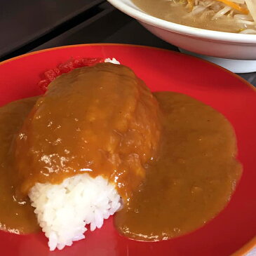 【ふるさと納税】B−088.池田屋カレー(3〜4人前)