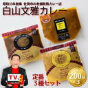 【ふるさと納税】白山文雅カレー定番3種セット:B140-014