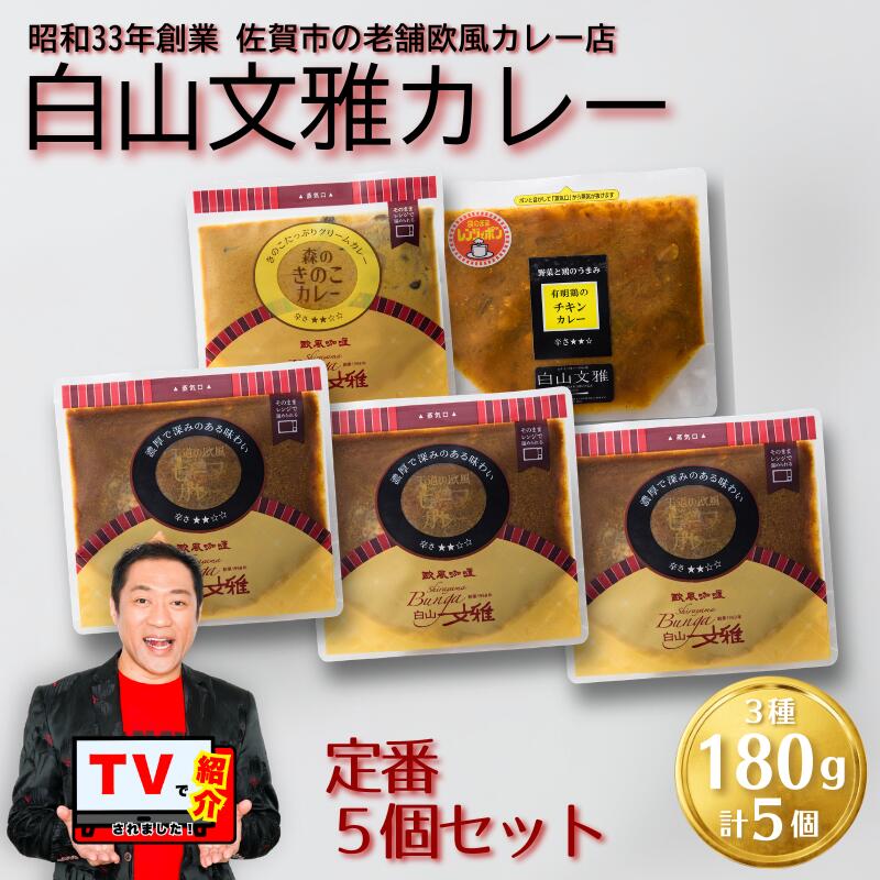 白山文雅カレー 定番5個セット:B250-032