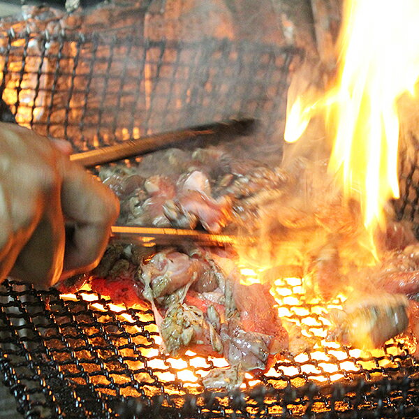 まこっちゃん うまうま焼き鳥Aセット:B010-158