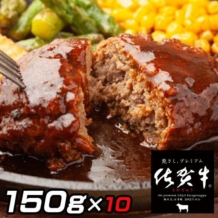 【ふるさと納税】佐賀牛入りがばいハンバーグ10個：B160-