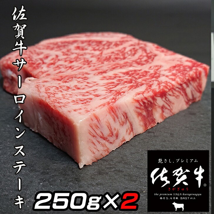 【ふるさと納税】【奇数月定期便（年6回）】佐賀牛ステーキ 250g×2：C180-009 2