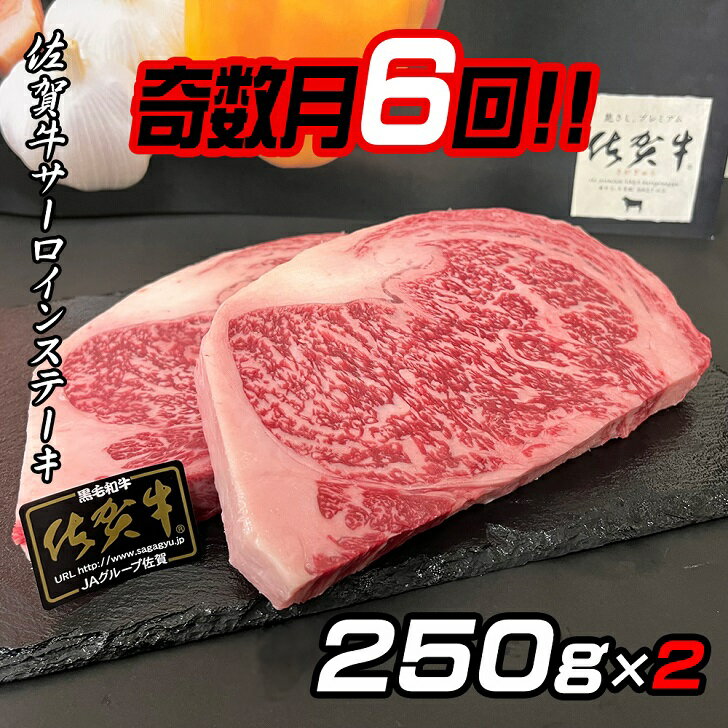 【ふるさと納税】【奇数月定期便（年6回）】佐賀牛ステーキ 250g×2：C180-009 1