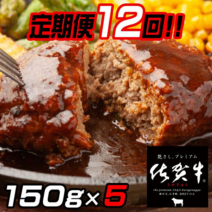 [定期便12回]佐賀牛入りハンバーグ 5個:C122-001