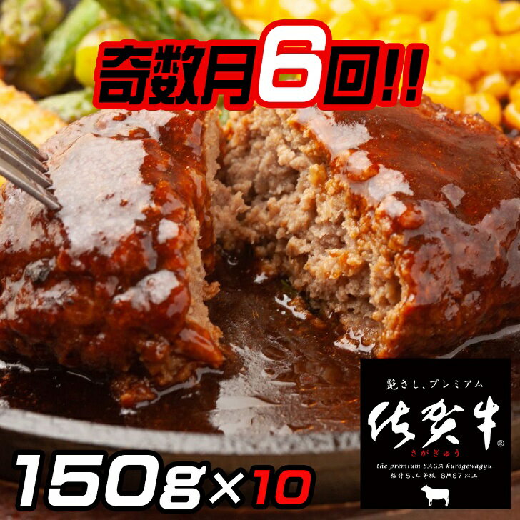 佐賀牛入りハンバーグ 10個：B094-009