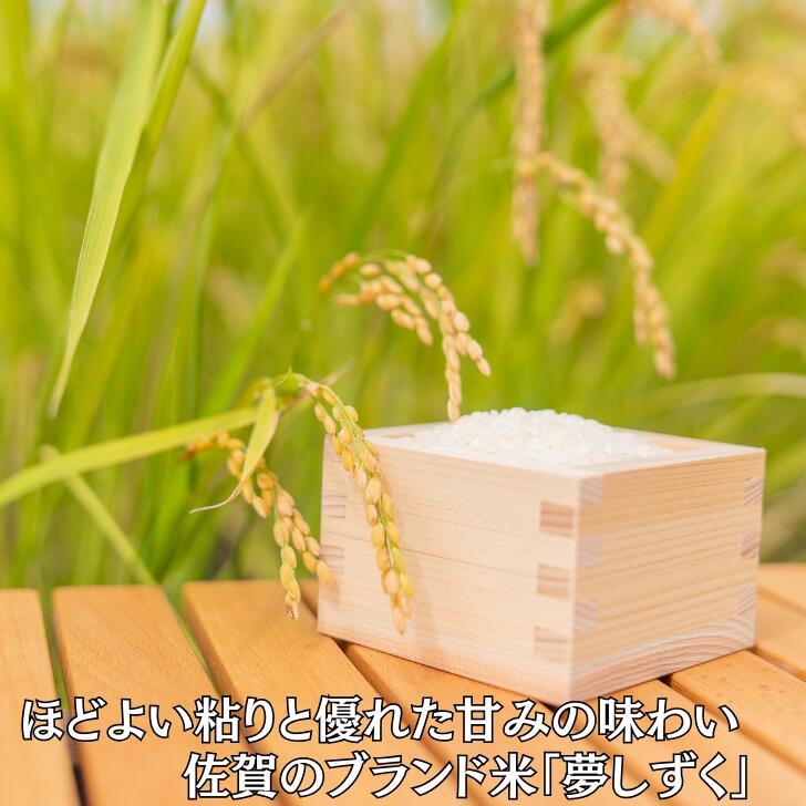 【ふるさと納税】令和7年 佐賀県産夢しずく 白米6kg：B170-037