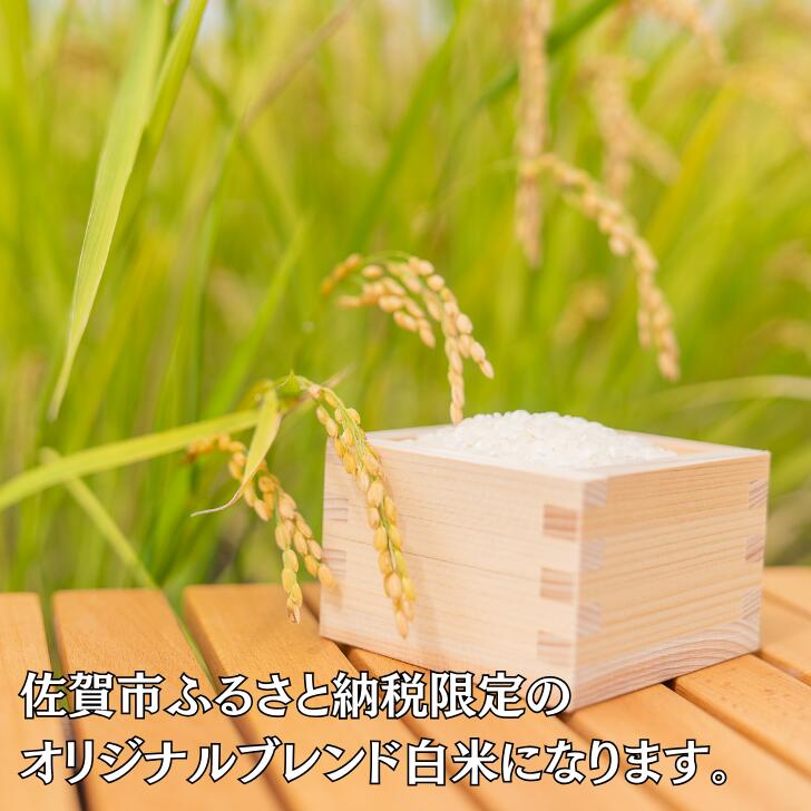 【ふるさと納税】佐賀市ふるさと納税限定 オリジナルブレンド白米 10kg：B240-029