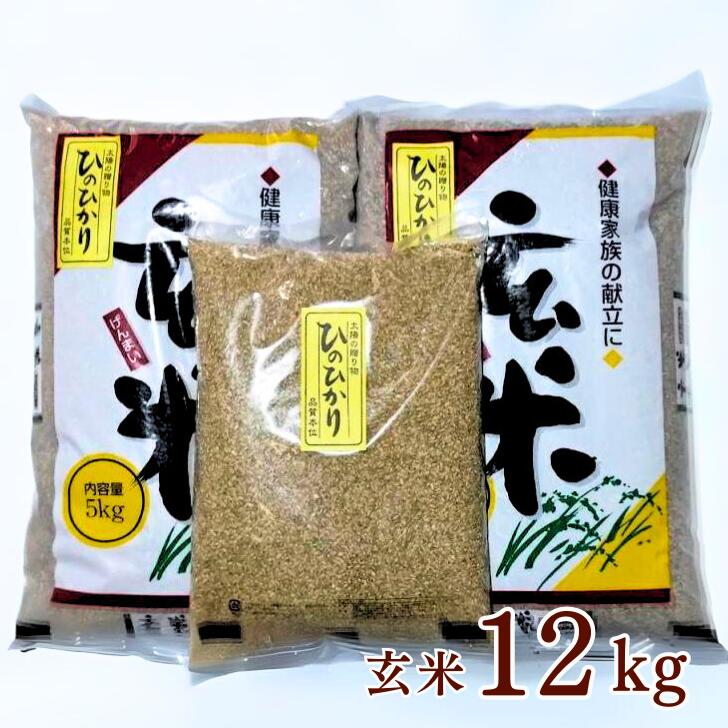 【ふるさと納税】令和5年佐賀県産ヒノヒカリ玄米12kg：B160-009