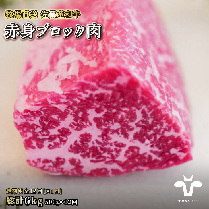 佐賀産黒毛和牛 赤身ブロック肉500g：C164-001