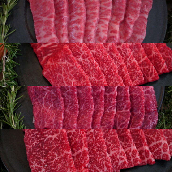 【ふるさと納税】【牧場定期便】1頭まるごと佐賀産和牛の焼肉定期便 全3回:B490-003