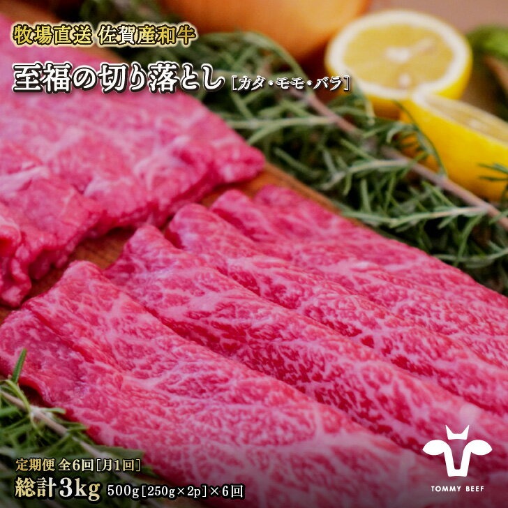【ふるさと納税】【定期便6回】【牧場直送】佐賀産黒毛和牛 至福のきりおとし500g:B730-004