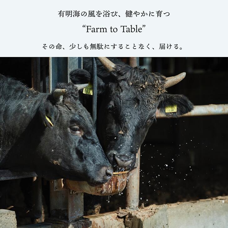 【ふるさと納税】【牧場直送】佐賀産和牛 煮込み用肉 400g：B014-072 3