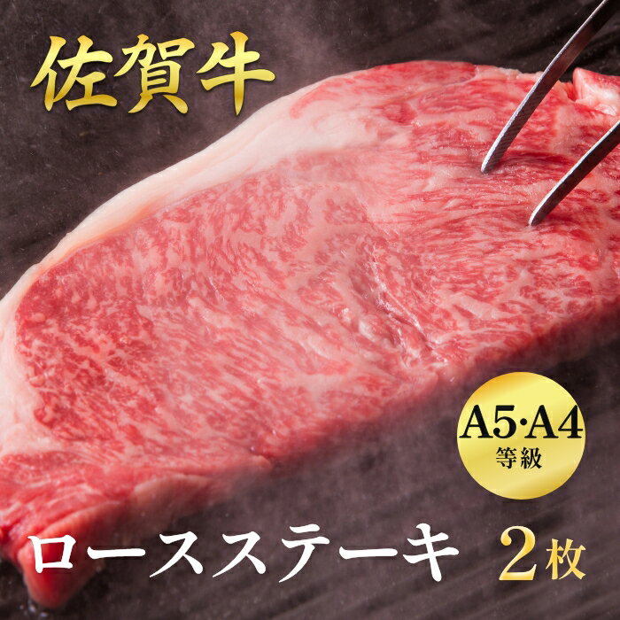 佐賀牛ロースステーキ 400g(2枚入):B025-019