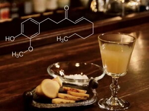 【ふるさと納税】蒸し生姜シロップ＆濃味セット 栽培期間中農薬不使用で自然な美味しさ：B016-060