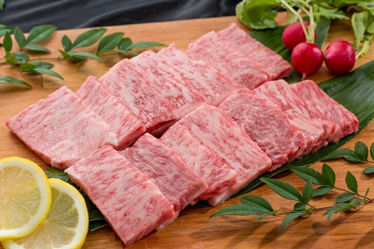 【ふるさと納税】佐賀牛ロース 焼肉用 500g:B365-003