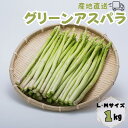 23位! 口コミ数「0件」評価「0」たけだファーム産地直送グリーンアスパラガス L・Mサイズ1kg：B016-061