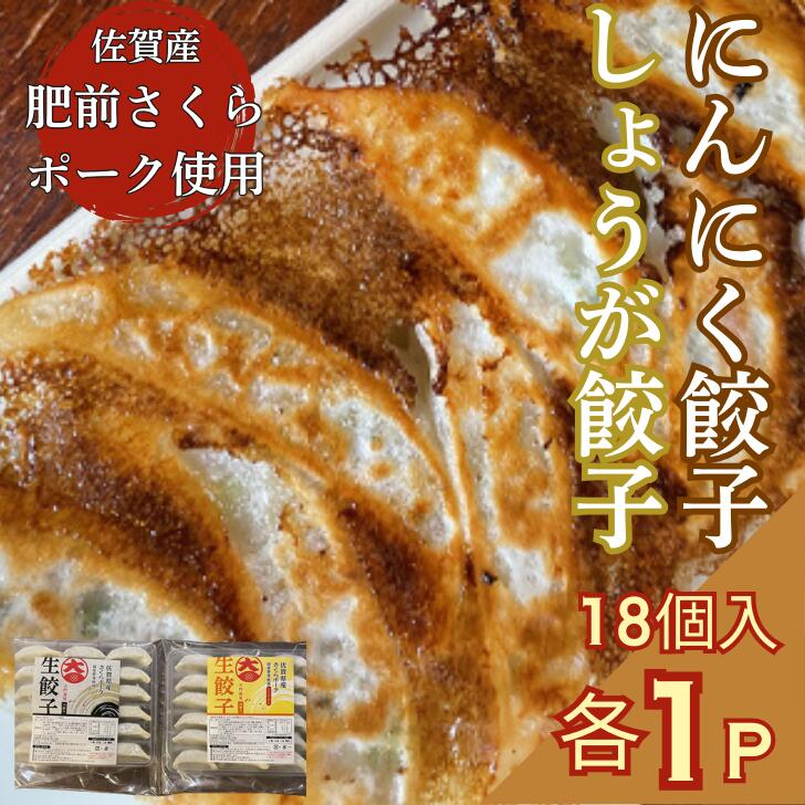 【ふるさと納税】佐賀産「肥前さくらポーク」を100%使用した餃子2Pセット(合計36個):B125-025