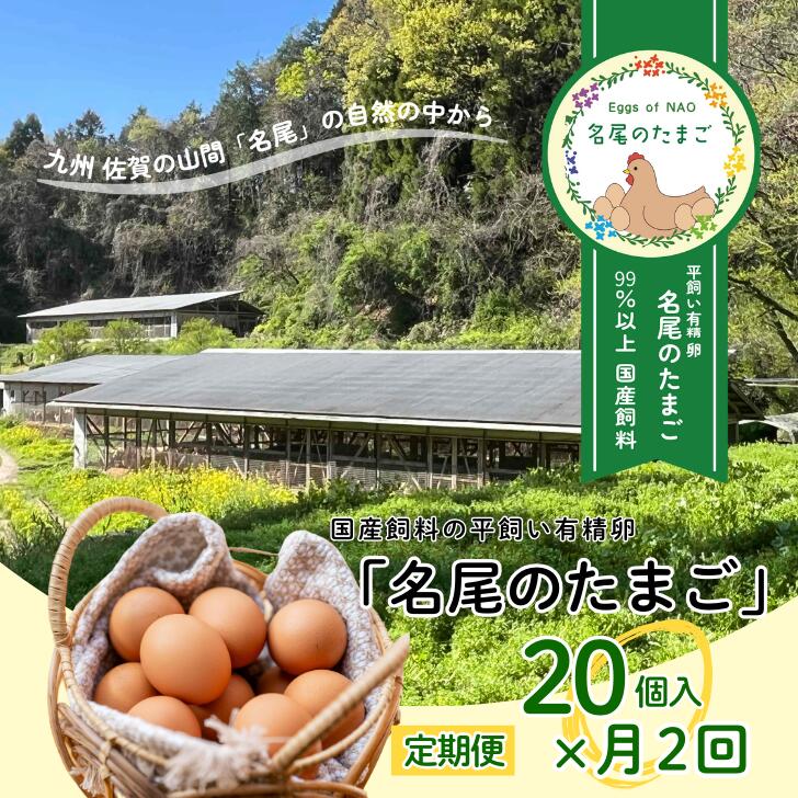 【ふるさと納税】【定期便24回】国産飼料の平飼い有精卵「名尾のたまご」20個入:C210-003