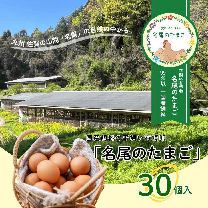 【ふるさと納税】国産飼料の平飼い有精卵「名尾のたまご」30個入:B135-013