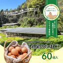 【ふるさと納税】国産飼料の平飼い有精卵「名尾のたまご」60個入:B230-015