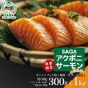 【ふるさと納税】佐賀から未来へ!SAGAアクポニサーモン 選べる300g・1kg カット済 刺身 サーモン トラウトサーモン 国産 生食 陸上養殖 アクアポニッ...
