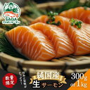 【ふるさと納税】佐賀から未来へ!SAGAアクポニサーモン 選べる300g・1kg カット済 刺身 サーモン トラウトサーモン 国産 生食 陸上養殖 アクアポニックス 高品質 佐賀市産 海鮮 魚介 魚 冷凍 小分け 解凍するだけ 海鮮丼 カルパッチョ 寿司 鮭 佐賀県 佐賀市 :B150-059