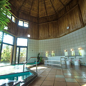 【ふるさと納税】熊の川温泉 ちどりの湯 内湯回数券12枚:B335-014