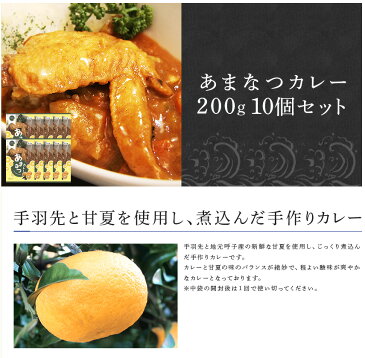 【ふるさと納税】あまなつカレー 10個セット