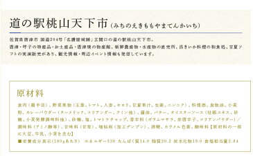 【ふるさと納税】あまなつカレー 10個セット