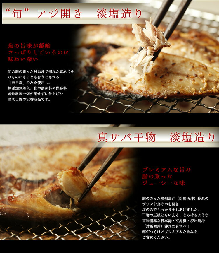 【ふるさと納税】グルメ大賞受賞 唐津 旬の干物 塩干しセット 唐津産旬サバ（トキサバ）干物 旬アジ開き （淡汐造り） 「2025年 令和7年」