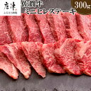 【ふるさと納税】佐賀牛の女王希少部位『ヒレ』肉のミニヒレステーキ300g BBQや焼肉に最適!A5~A4等級 ギフト 牛肉 国産「2025年 令和7年」