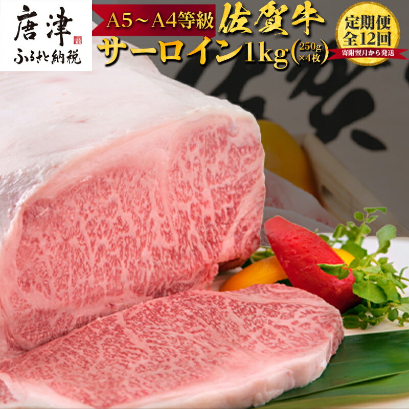 9位! 口コミ数「0件」評価「0」「定期便全12回」佐賀牛サーロイン1kg(250g×4枚)寄附翌月から発送 「2024年 令和6年」