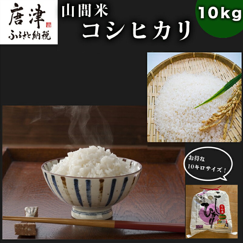 【ふるさと納税】山間米 コシヒカリ 10kg 唐津 七山