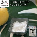 【ふるさと納税】唐津 一の塩 1kg×5袋 (しっとりタイプ