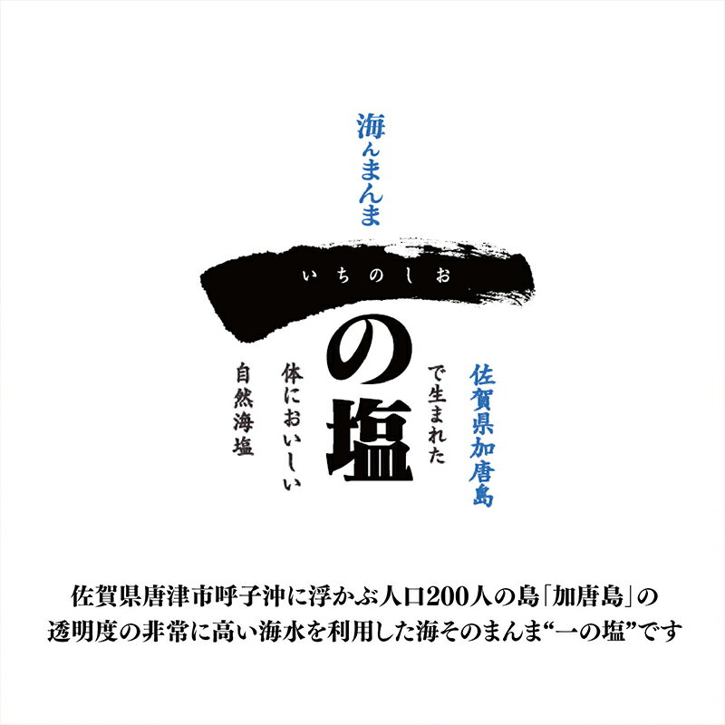 【ふるさと納税】唐津 一の塩 10kg×2袋 (しっとりタイプ) 調味料 料理 しお ソルト 「2025年 令和7年」