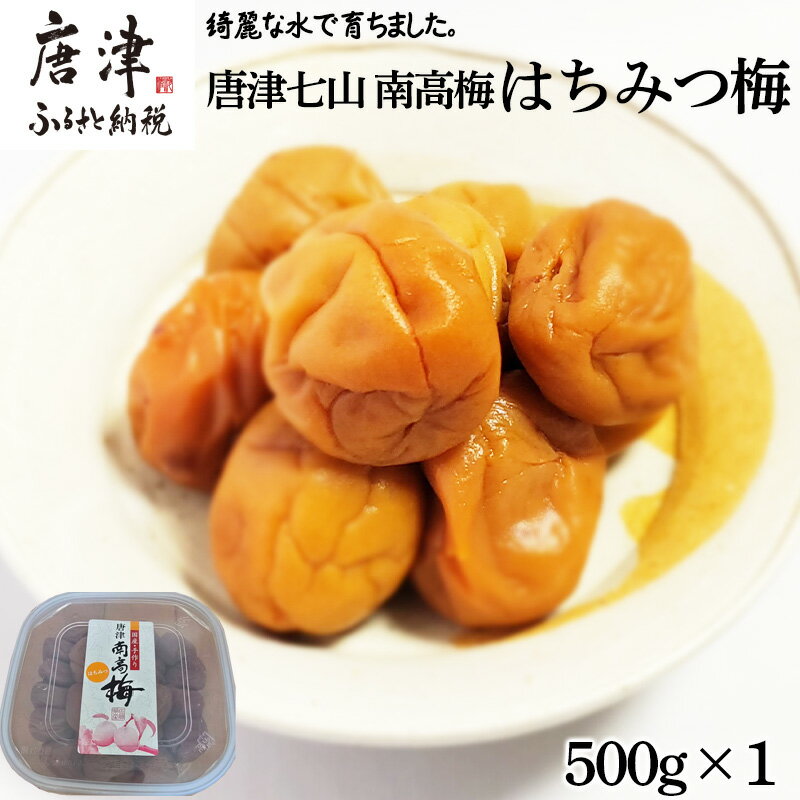唐津市七山南高梅 はちみつ梅 (500g×1) 梅干し うめぼし うめ しそ ご飯のお供 #irodoriからつ四季の返礼品