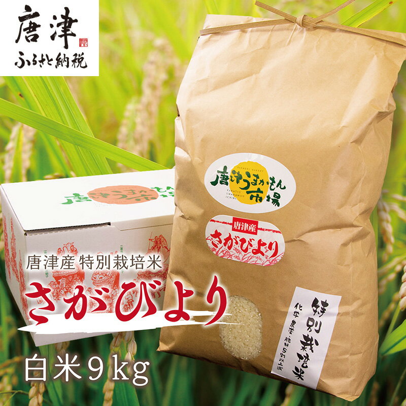 【ふるさと納税】唐津産特別栽培米 さがびより(白米) 9kg コメ お米 ごはん 白米 ご飯 こめ お米 おにぎり 1