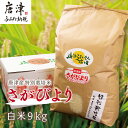 【ふるさと納税】唐津産特別栽培米 さがびより(白米) 9kg コメ お米 ごはん 白米 ご飯 こめ お米 おにぎり