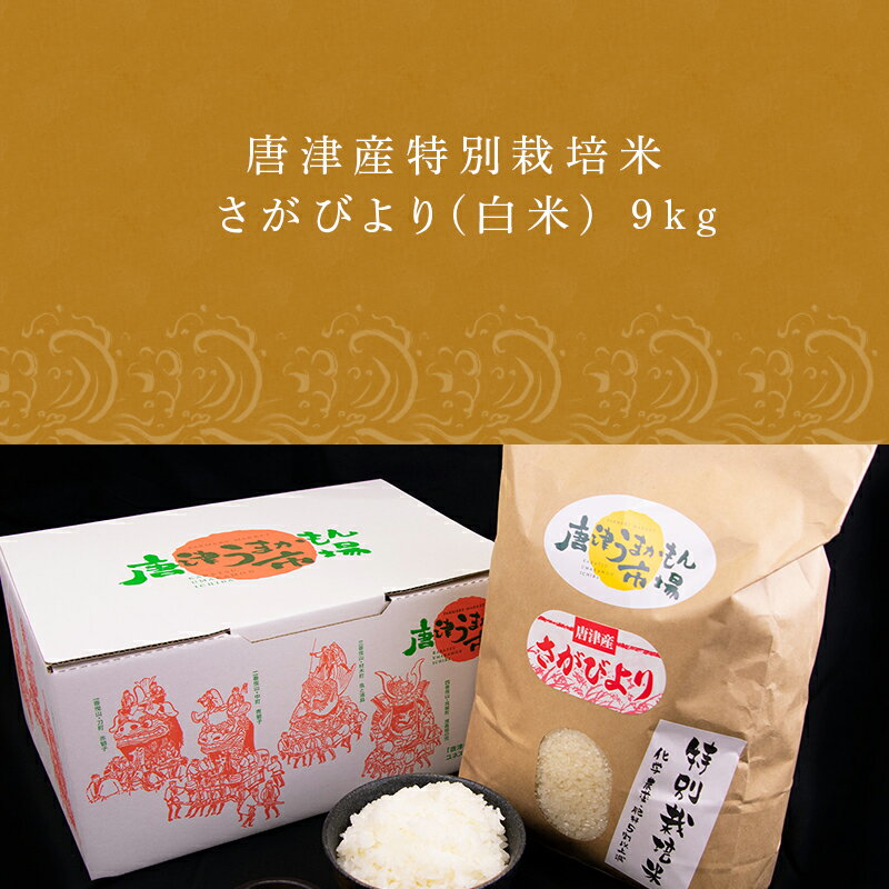 【ふるさと納税】唐津産特別栽培米 さがびより(白米) 9kg コメ お米 ごはん 白米 ご飯 こめ お米 おにぎり 2