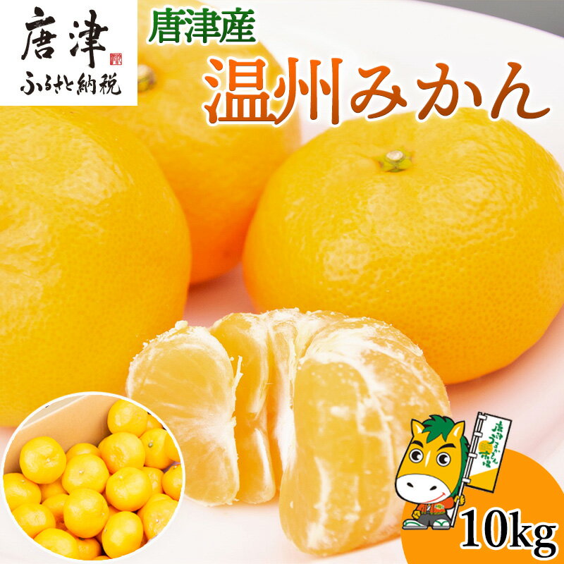 13位! 口コミ数「0件」評価「0」『予約受付』【令和6年10月下旬発送】唐津産 温州みかん 10kg バラ ハウスみかん ミカン 果物 フルーツ